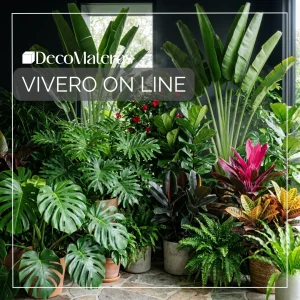 Vivero On Line