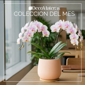 Materas Colección del Mes