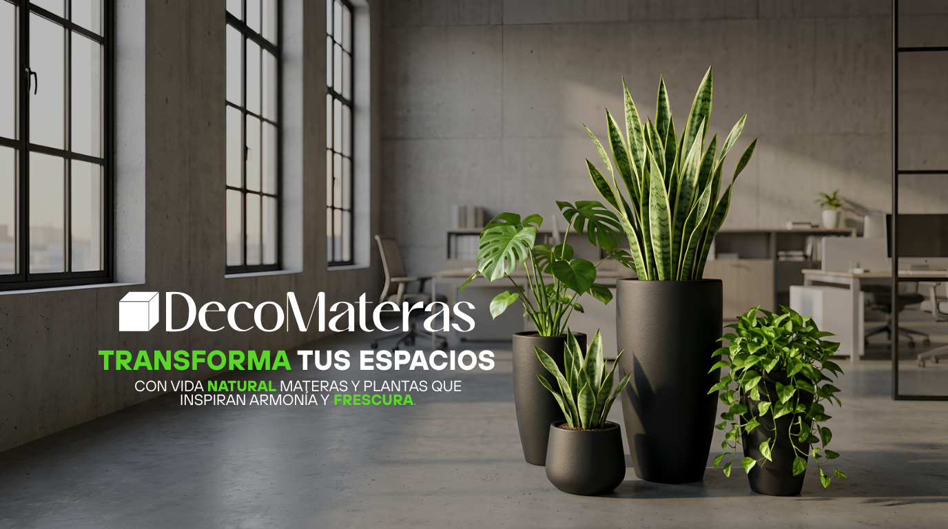 Home transforma tu hogar 1 1